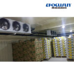 Cold Room For Vegetables And Fruits