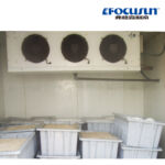 Subzero Ice Storage Room