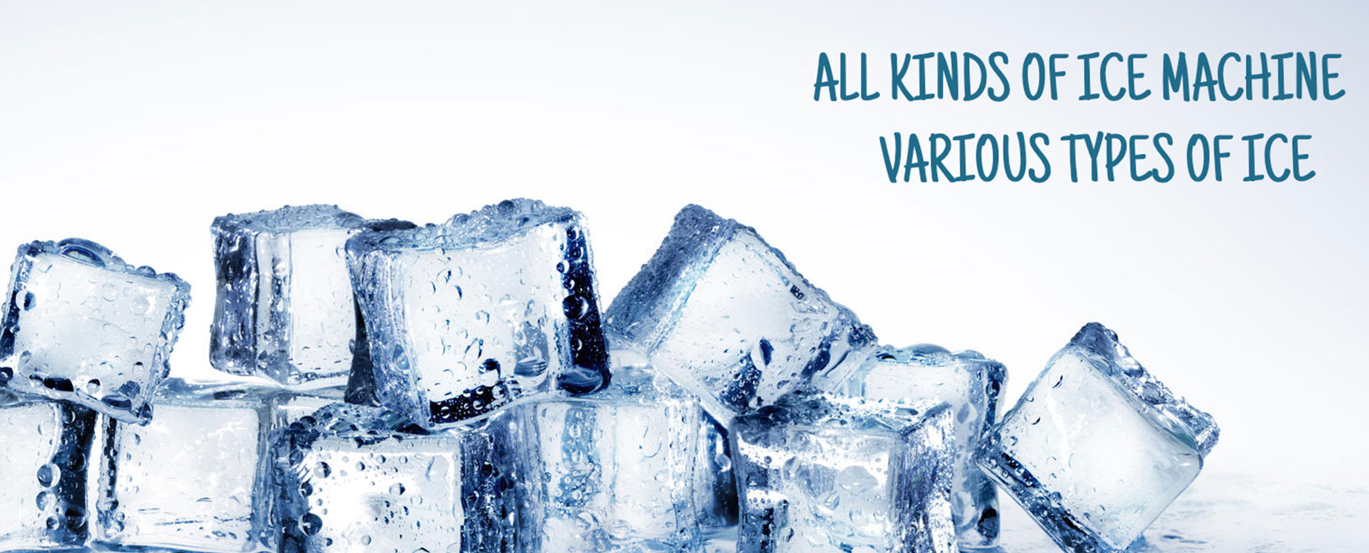 Focusun Refrigeration Co.,Ltd.