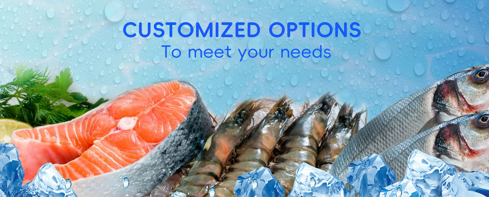 Focusun Refrigeration Co.,Ltd.